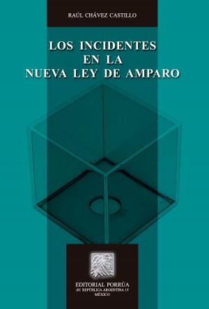 Cover of the book Los incidentes en la nueva ley de amparo by Rubén Minutti Zanatta; María del Rocío González Alcántara Lammoglia