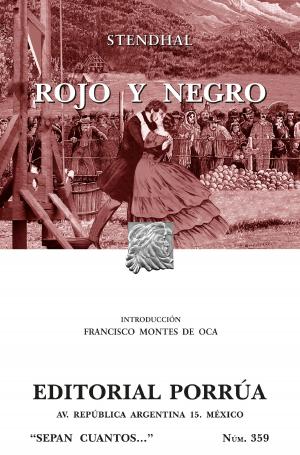 Cover of the book Rojo y negro by Johann Wolfgang von Goethe