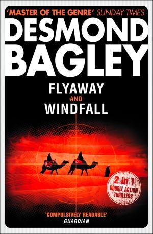 Cover of the book Flyaway / Windfall by Jean Ure
