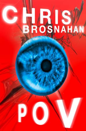 Cover of the book POV by Ted Sanders