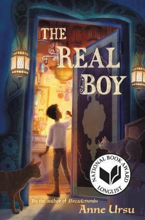 Cover of the book The Real Boy by Laurel Snyder