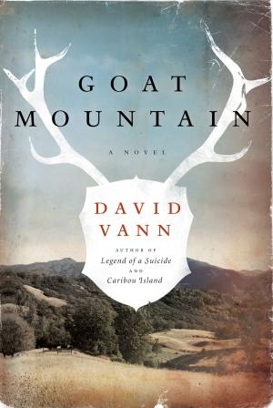 Cover of the book Goat Mountain by James Grippando