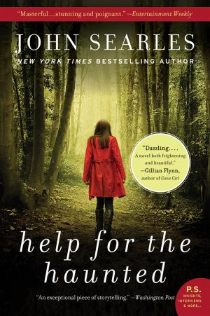 Cover of the book Help for the Haunted by Miranda Stork
