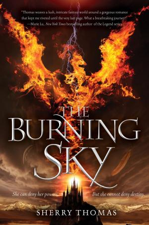 Cover of the book The Burning Sky by Teri Brown