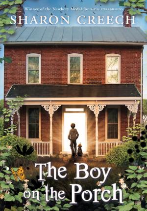 Cover of the book The Boy on the Porch by Gillian Andrews
