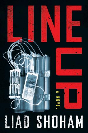 Cover of the book Lineup by Carlos Ruiz Zafon