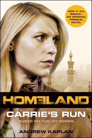 bigCover of the book Homeland: Carrie's Run by 