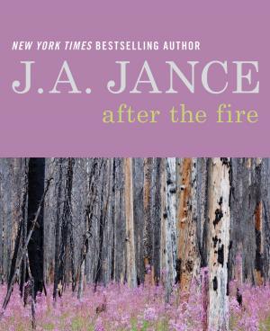 Cover of the book After the Fire by Joyce Maynard