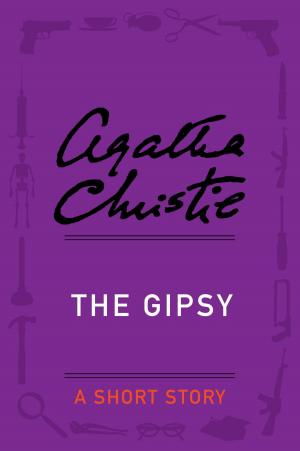 Cover of the book The Gipsy by Margie Orford