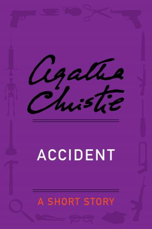 Cover of the book Accident by Leslie Jones