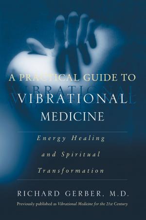 Cover of the book A Practical Guide to Vibrational Medicine by Elson Haas, Sondra Barrett