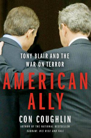 Cover of the book American Ally by Alix Hawley