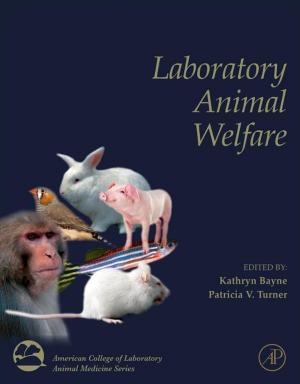 Cover of the book Laboratory Animal Welfare by PK Gupta
