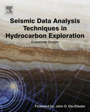 Cover of the book Seismic Data Analysis Techniques in Hydrocarbon Exploration by D. Pavlov