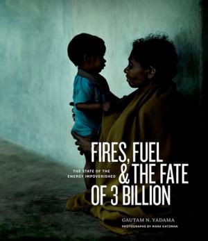 Cover of the book Fires, Fuel, and the Fate of 3 Billion by Robert Diab