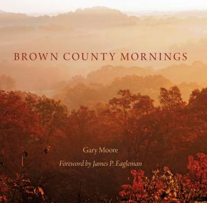 Book cover of Brown County Mornings