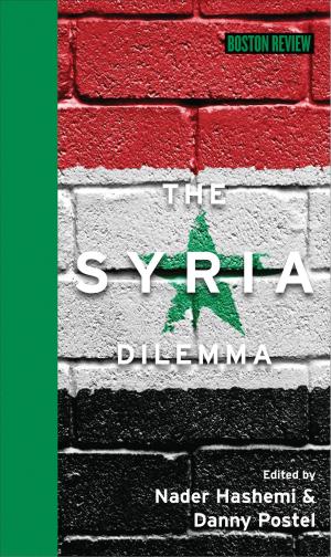 Cover of the book The Syria Dilemma by Wanja Wiese