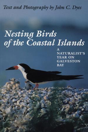 Cover of the book Nesting Birds of the Coastal Islands by Bernard Gordon