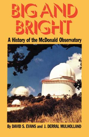 Book cover of Big and Bright