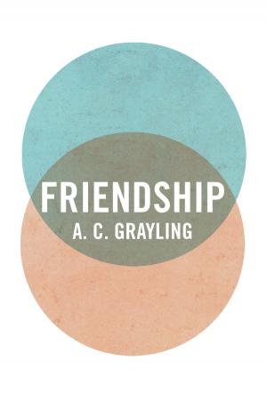 Cover of the book Friendship by Trita Parsi