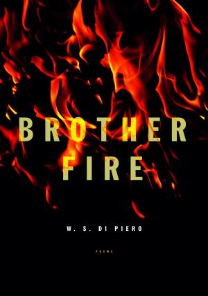 Cover of the book Brother Fire by Joshua Jelly-Schapiro