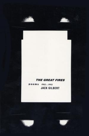 Cover of the book The Great Fires by Gustave Aimard