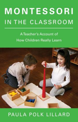 Cover of the book Montessori in the Classroom by Paula Polk Lillard