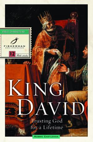 Cover of the book King David by C.J. Mahaney