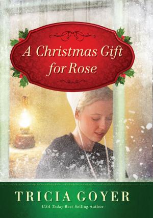 Cover of the book A Christmas Gift for Rose by Sara Hagerty