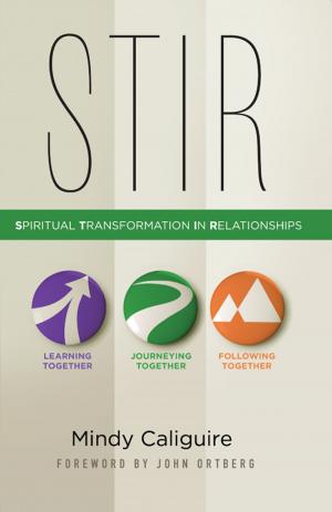 Cover of the book STIR by Scot McKnight