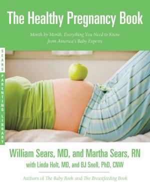 Book cover of The Healthy Pregnancy Book