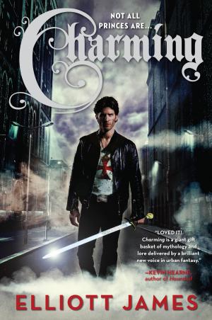 Cover of the book Charming by Rachel Bach