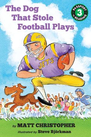 Cover of the book The Dog That Stole Football Plays by Kirk Scroggs