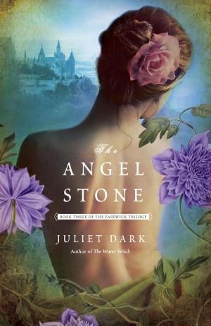 Cover of the book The Angel Stone by Sarah Mason