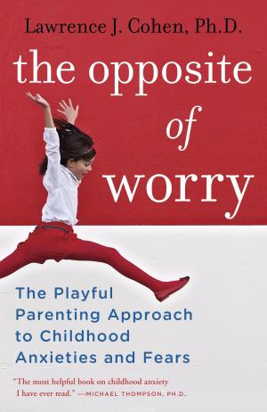 Book cover of The Opposite of Worry