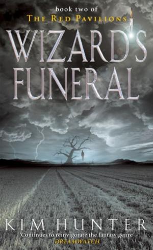 Cover of the book Wizard's Funeral by Jon E. Lewis