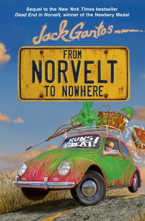Cover of the book From Norvelt to Nowhere by Robert Gottlieb