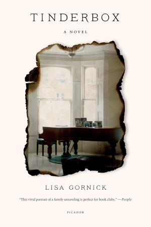 Cover of the book Tinderbox by Laura Chester