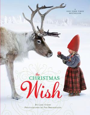 Cover of the book The Christmas Wish by Deborah Hopkinson