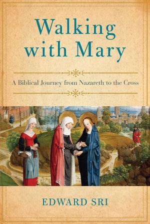 Cover of the book Walking with Mary by Caleb Kaltenbach