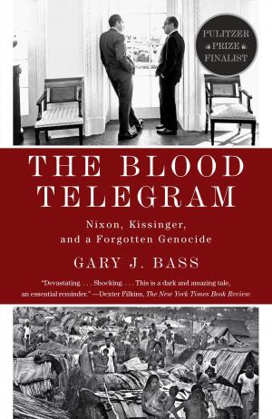 Book cover of The Blood Telegram