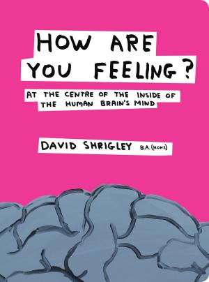 Cover of the book How Are You Feeling?: At the Centre of the Inside of the Human Brain by David Roberts