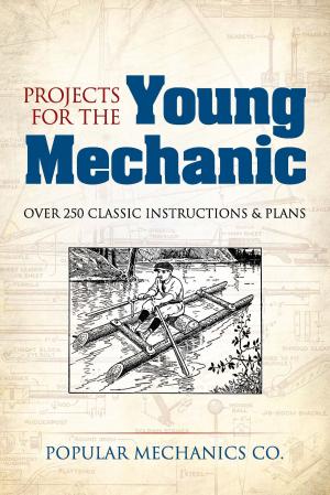 Cover of the book Projects for the Young Mechanic by Daniel  Edwin Rutherford