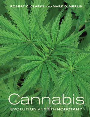 Cover of the book Cannabis by Paul Farmer
