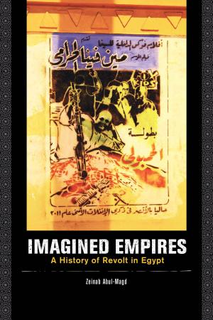 Cover of the book Imagined Empires by Daniel Martinez HoSang