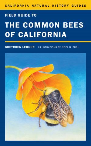 bigCover of the book Field Guide to the Common Bees of California by 