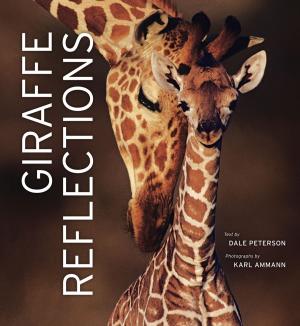 Cover of the book Giraffe Reflections by Lowell Dingus, Mark Norell