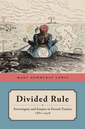 Cover of the book Divided Rule by Peter Zinoman