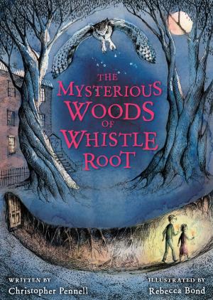 bigCover of the book The Mysterious Woods of Whistle Root by 