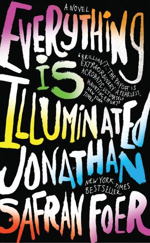 Cover of the book Everything Is Illuminated by Peggy Perry Anderson